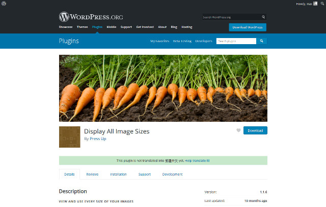 WordPress Plugin Display All Image Sizes – 展示圖片所有尺寸外掛程式