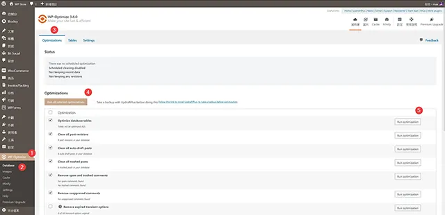 WP-Optimize 資料庫清理與快取外掛程式：資料庫設定