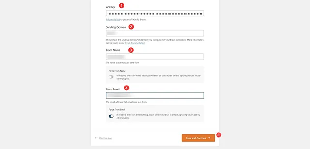WP Mail SMTP 發信外掛程式設定精靈頁面,填入 API Key 資料。