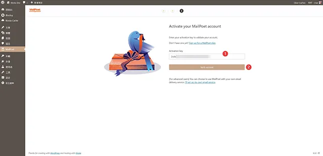 貼上 API 金鑰啟用 MailPoet Newsletters Email Marketing 外掛程式
