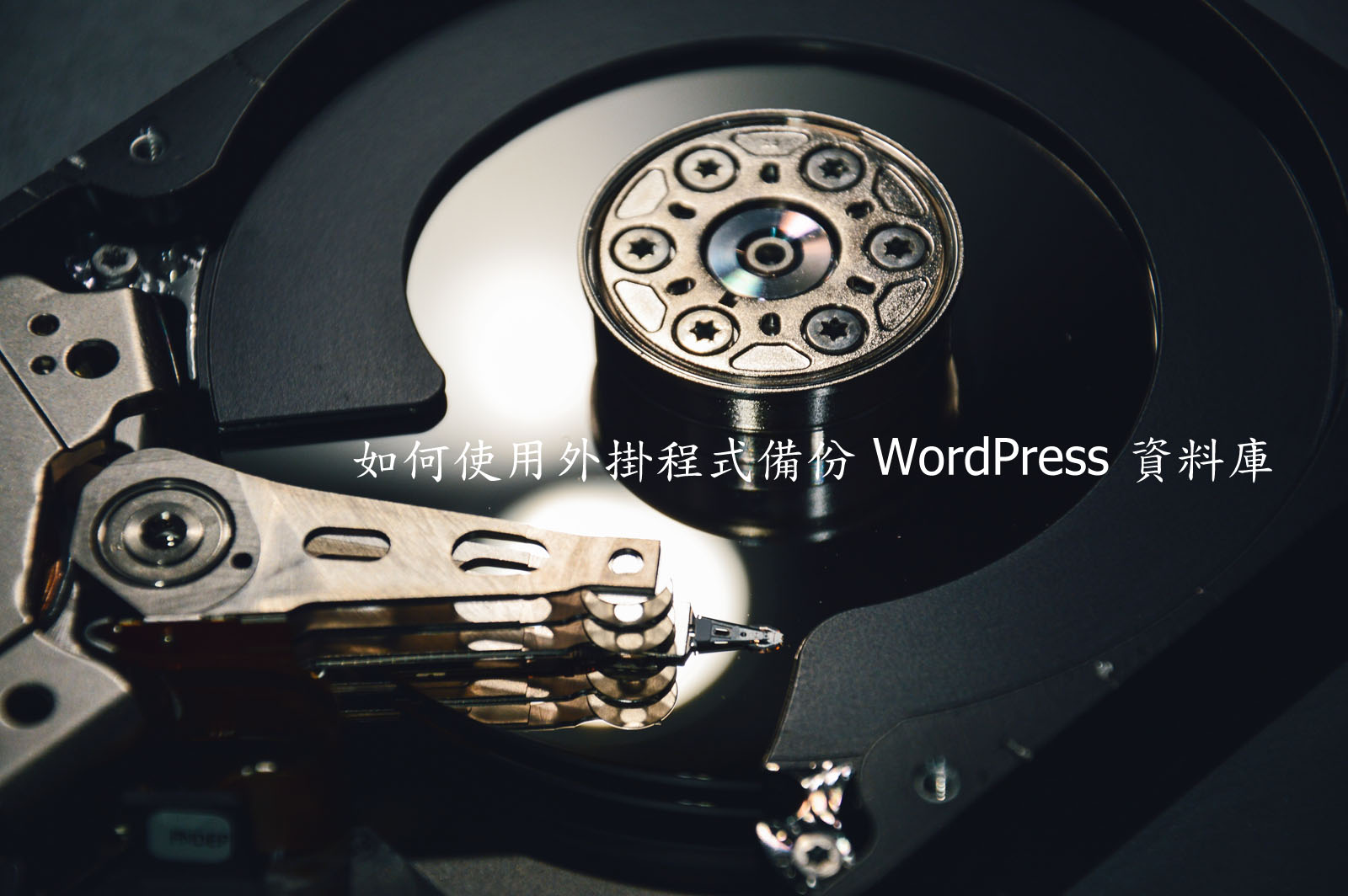 WP-DB-Backup