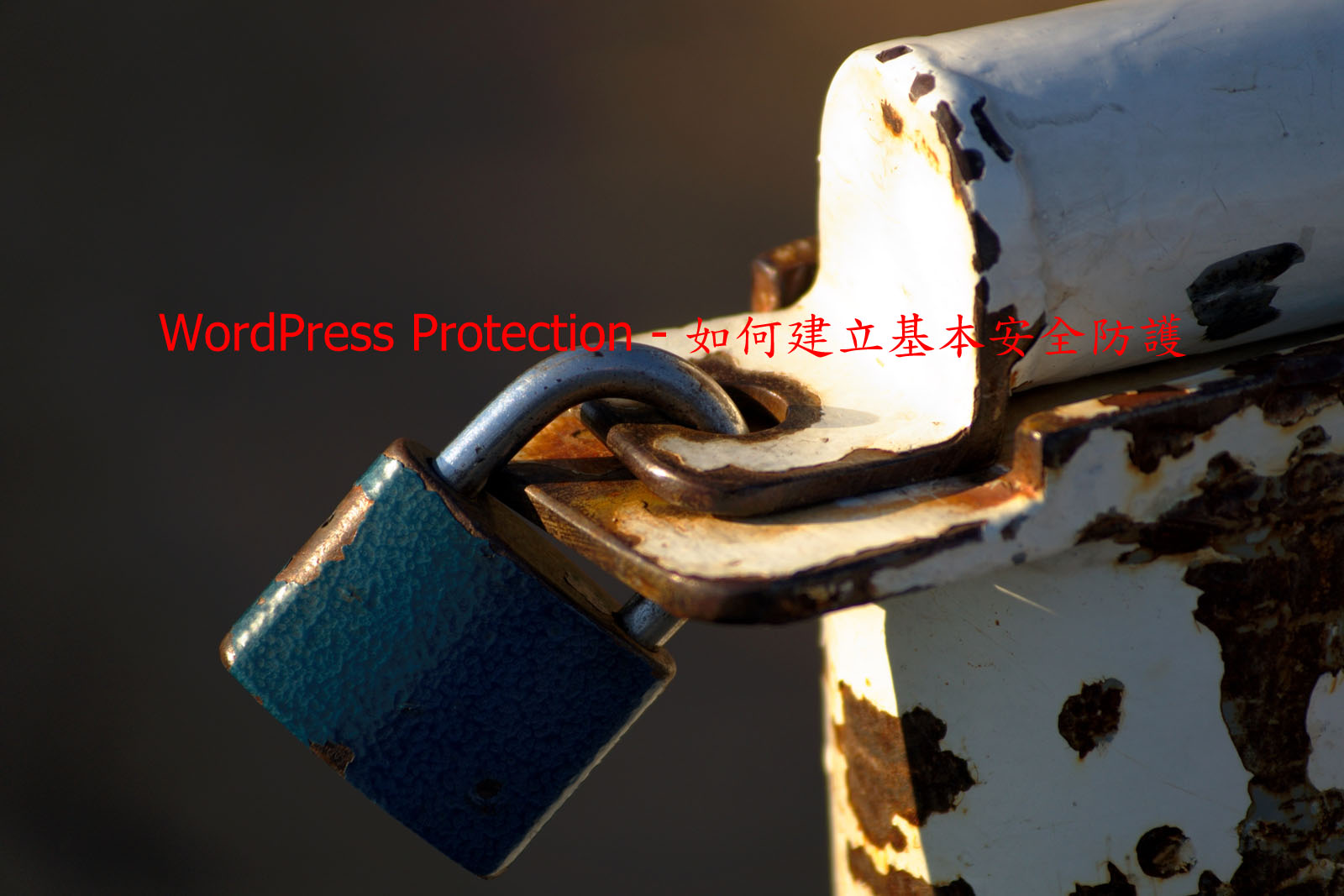 WordPress Protection WordPress Protection