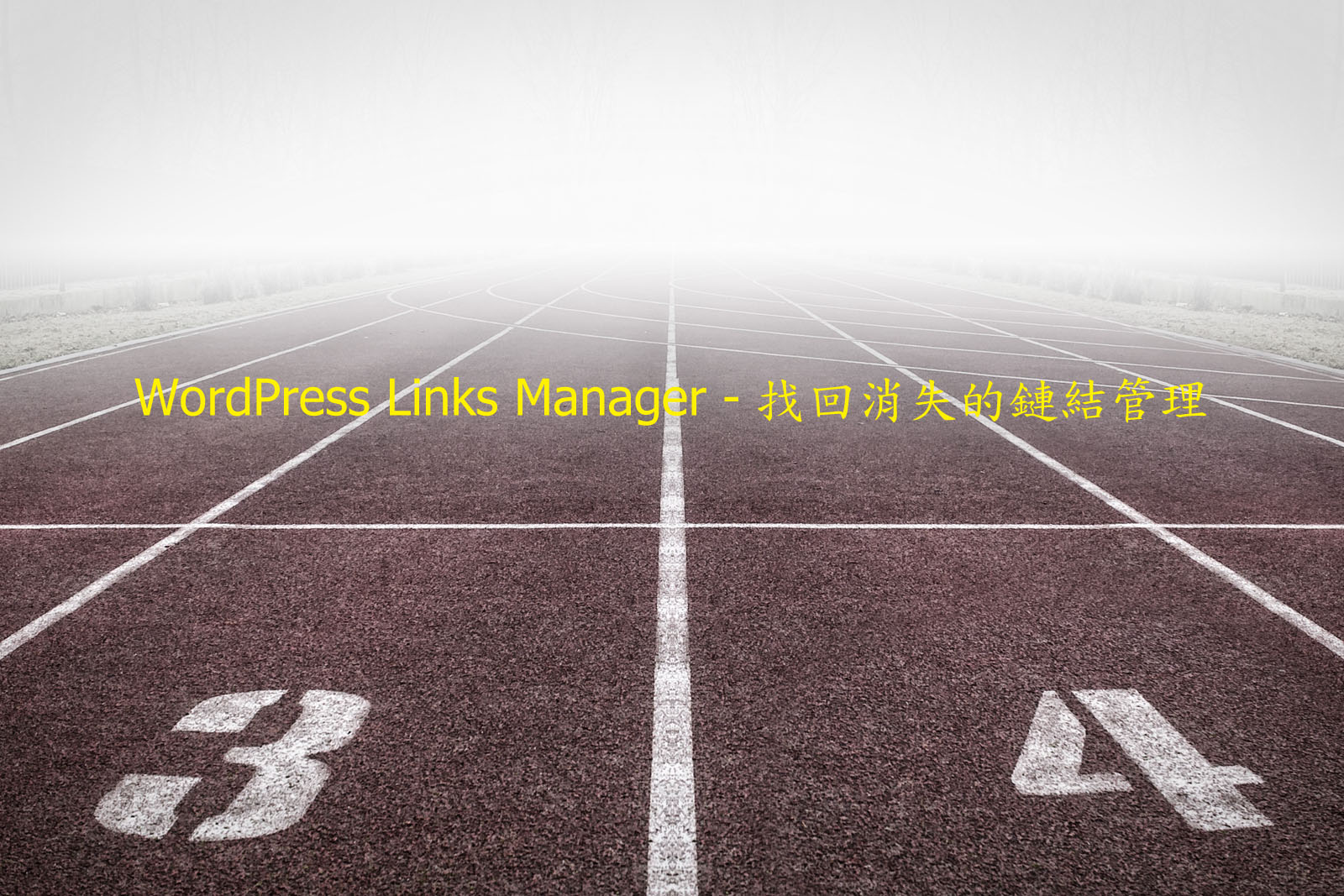 WordPress Links Manager WordPress Links Manager