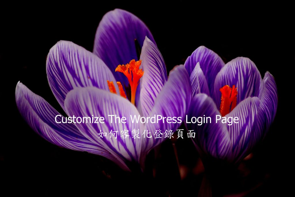 Customize WordPress Login Page
