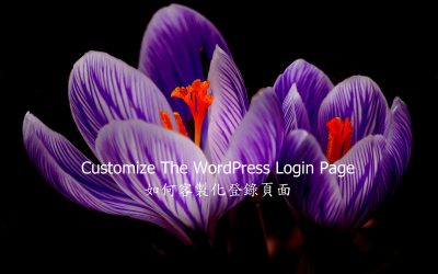 Customize WordPress Login Page – 如何客製化登錄頁面