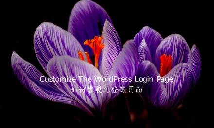 Customize WordPress Login Page – 如何客製化登錄頁面