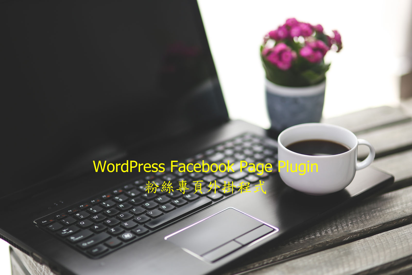 WordPress Facebook Page Plugin – 粉絲專頁外掛程式