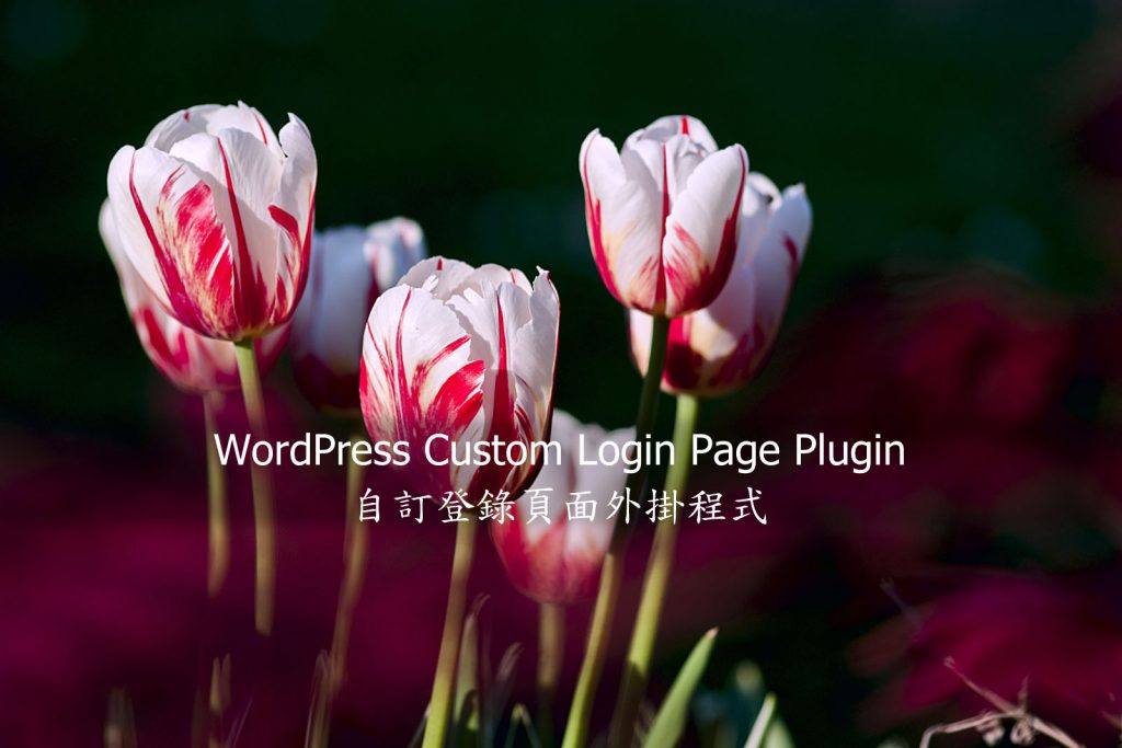 WordPress Custom Login Page Plugin