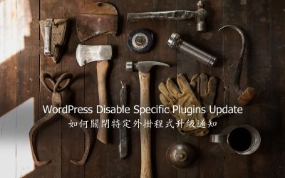 WordPress Disable Specific Plugins Update