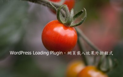 WordPress Loading Plugin – 網頁載入效果外掛程式