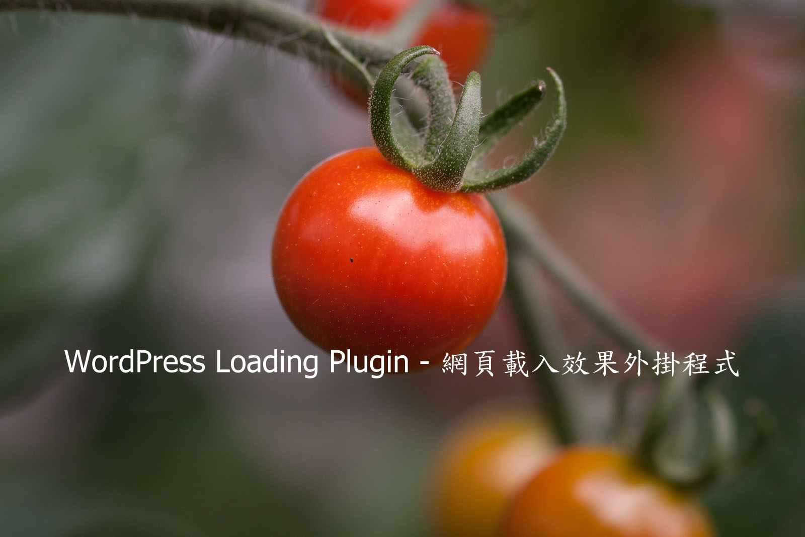 WordPress Loading Plugin – 網頁載入效果外掛程式