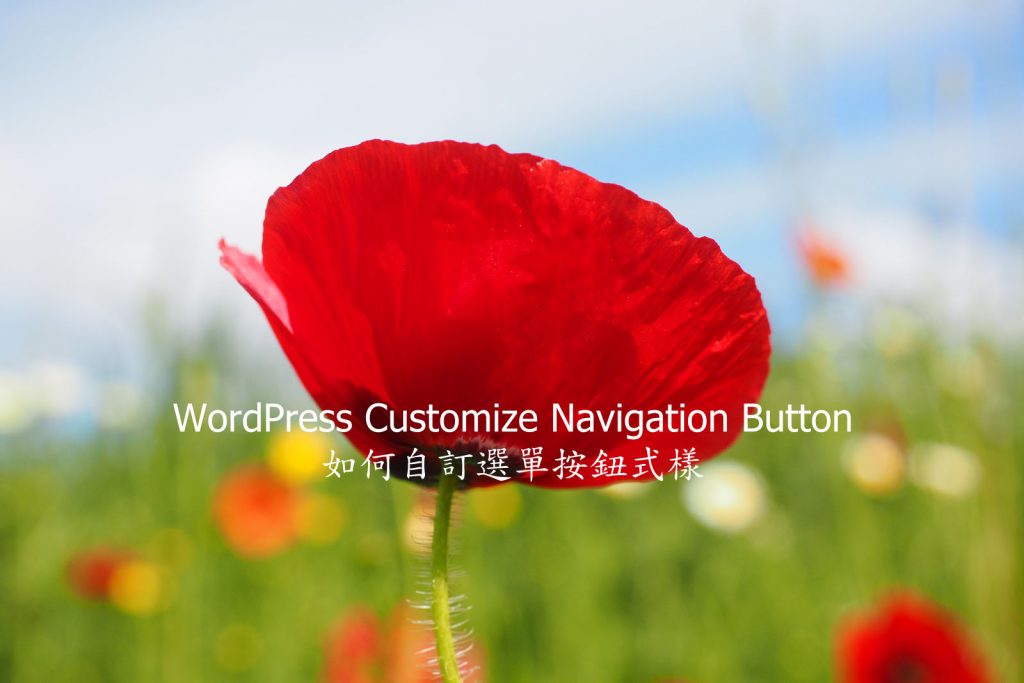 WordPress Customize Navigation Button