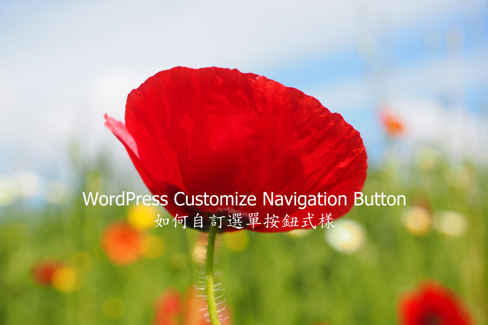 WordPress Customize Navigation Button – 如何自訂選單按鈕式樣