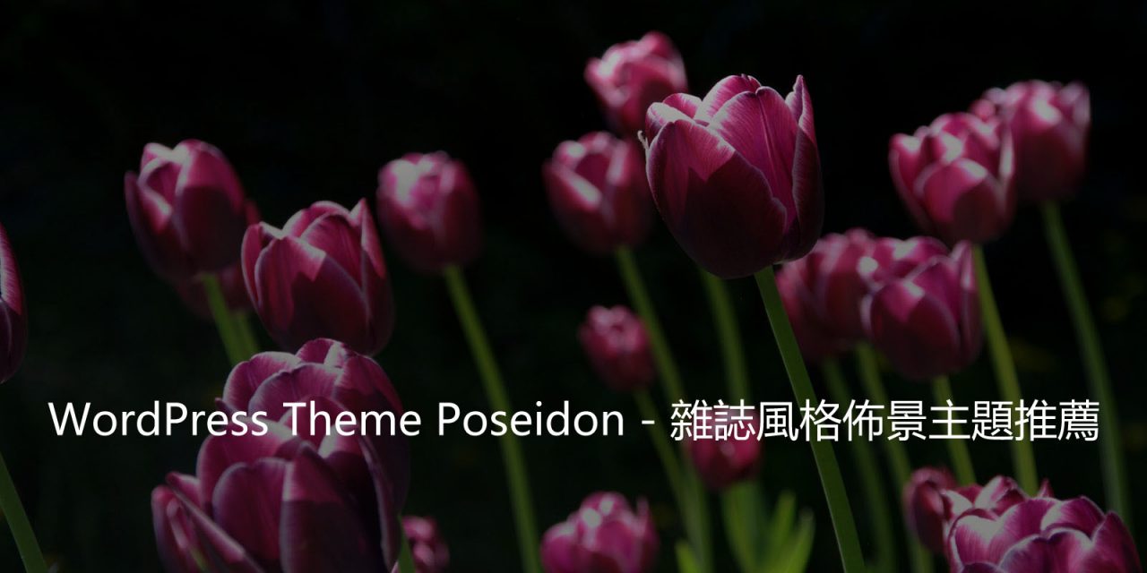WordPress Theme Poseidon – 雜誌風格佈景主題推薦