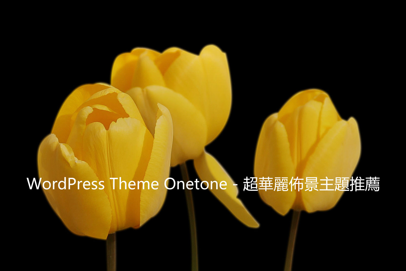 WordPress Theme Onetone