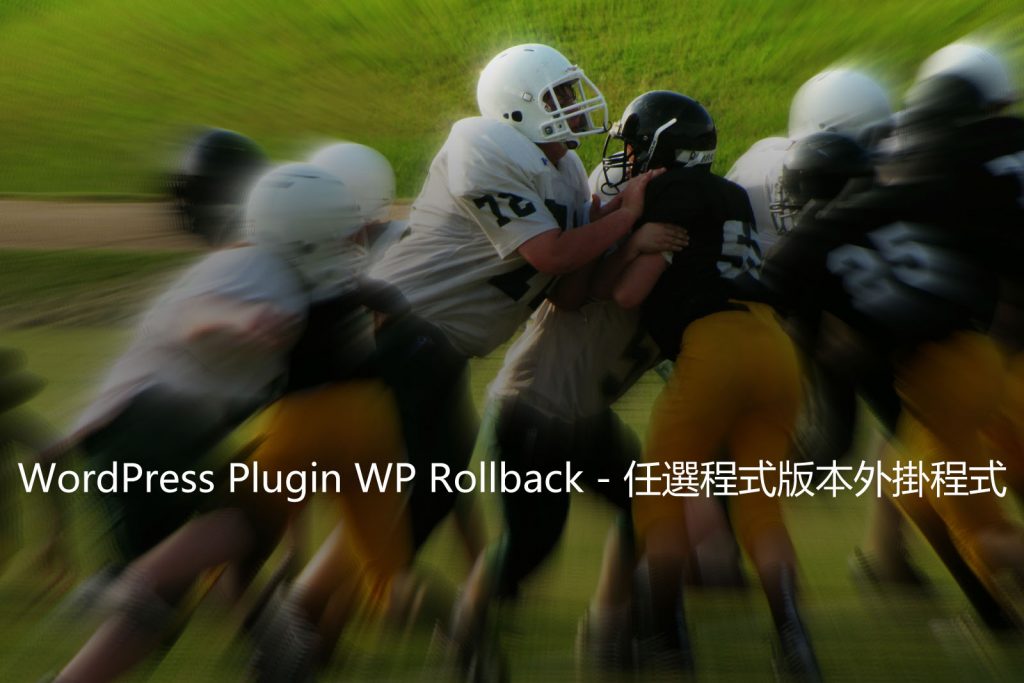 WordPress Plugin WP Rollback