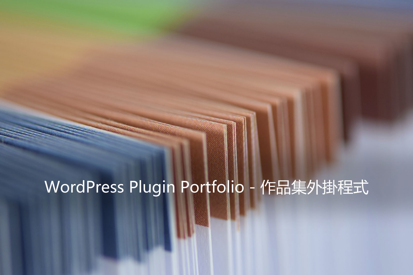 WordPress Plugin Portfolio WordPress Plugin Portfolio