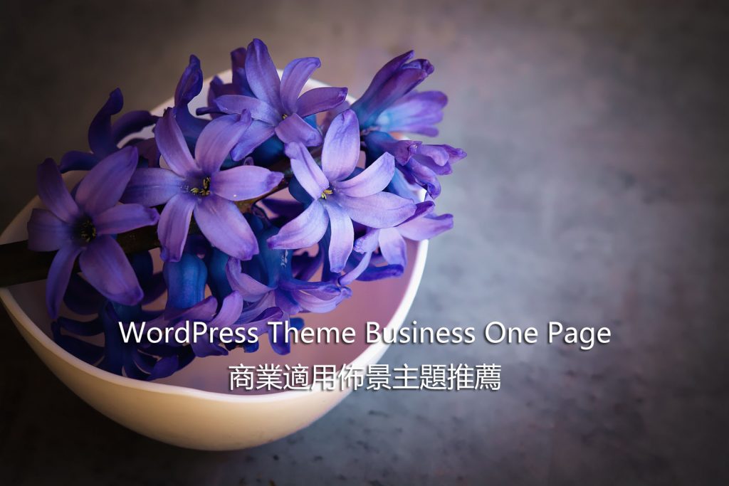 WordPress Theme Business One Page