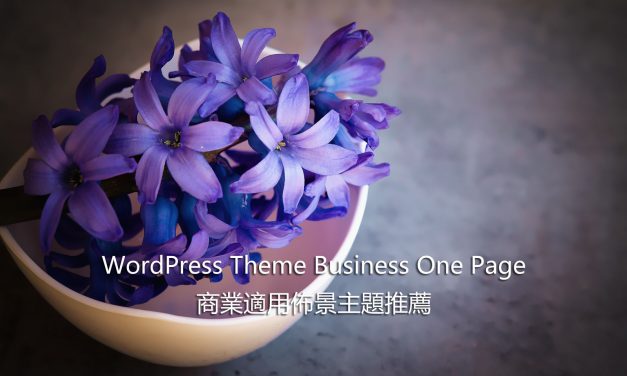 WordPress Theme Business One Page – 商業適用佈景主題推薦