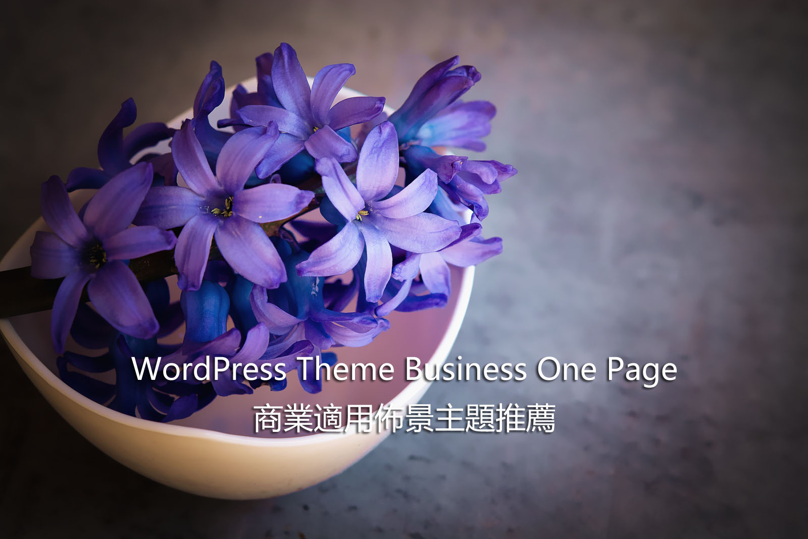 WordPress Theme Business One Page – 商業適用佈景主題推薦