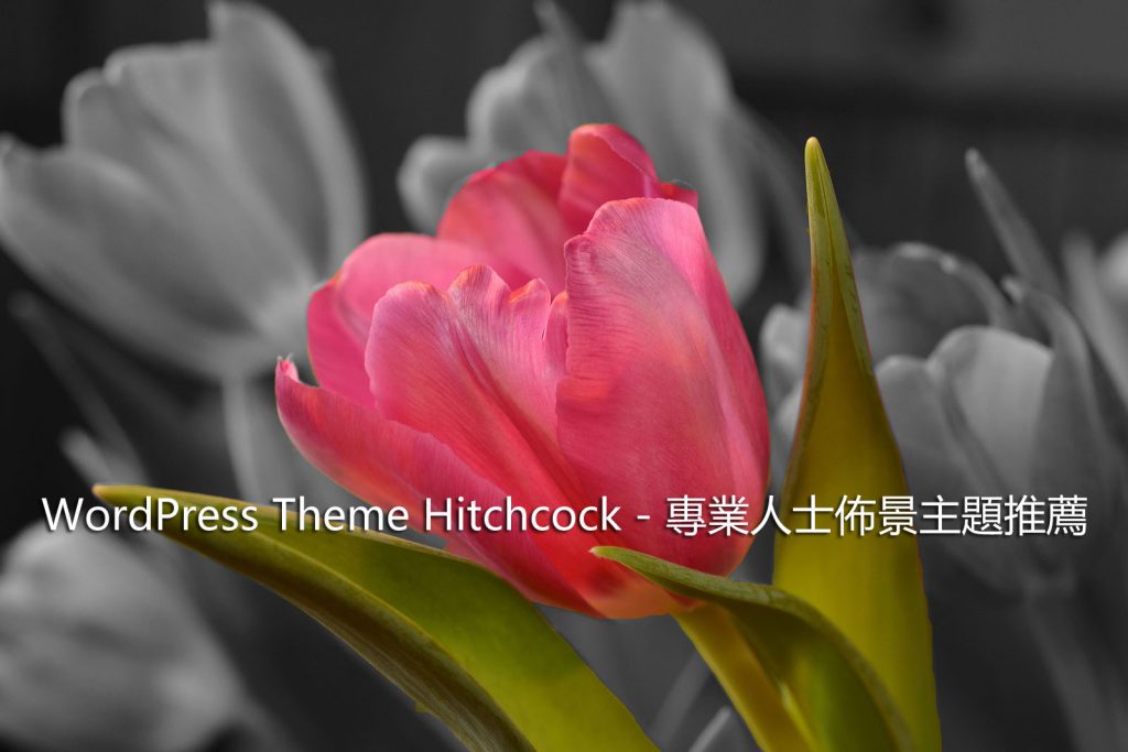WordPress Theme Hitchcock