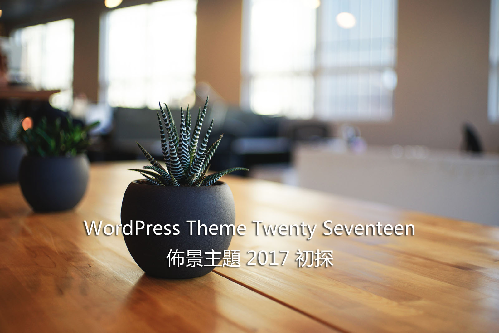WordPress Theme Twenty Seventeen – 佈景主題 2017 初探