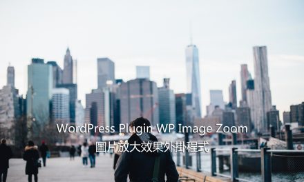 WordPress Plugin WP Image Zoom