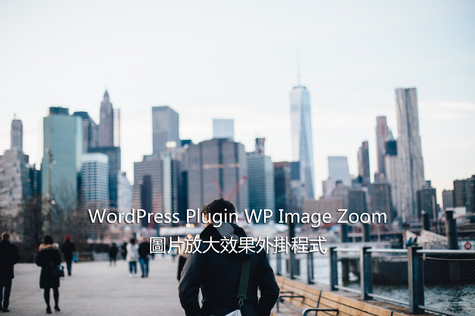 WordPress Plugin WP Image Zoom