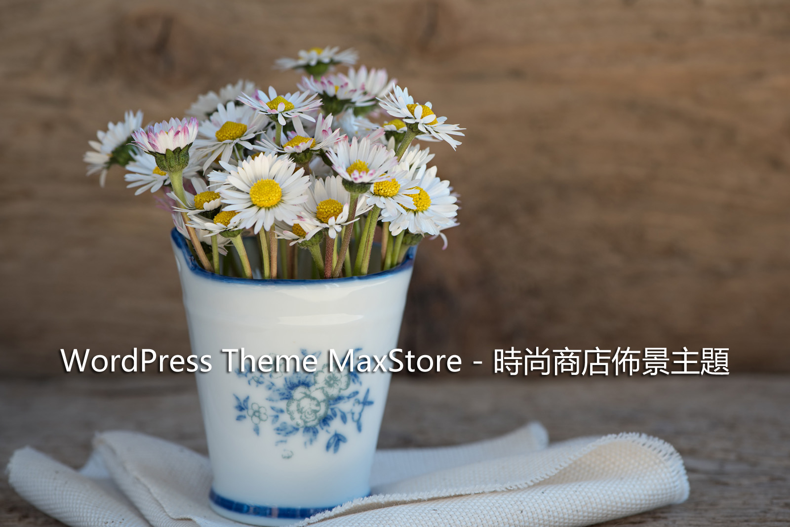 WordPress Theme MaxStore – 時尚商店佈景主題