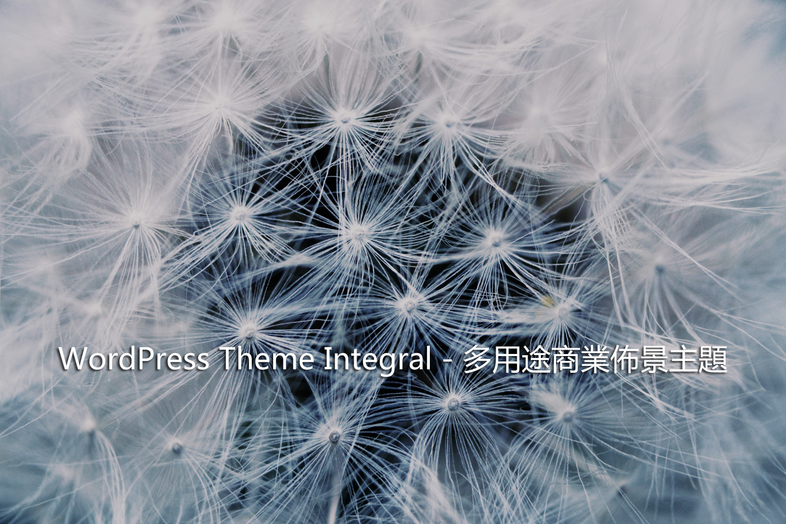 WordPress Theme Integral – 多用途商業佈景主題