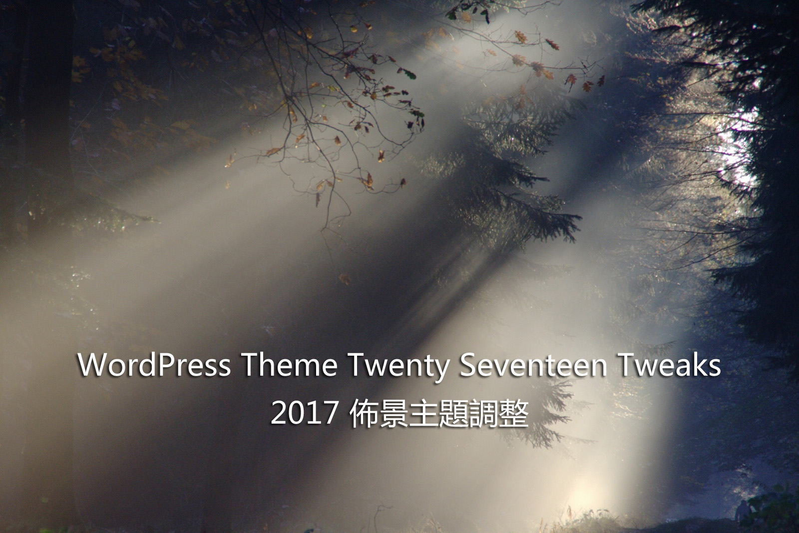 WordPress Theme Twenty Seventeen Tweaks – 2017 佈景主題調整