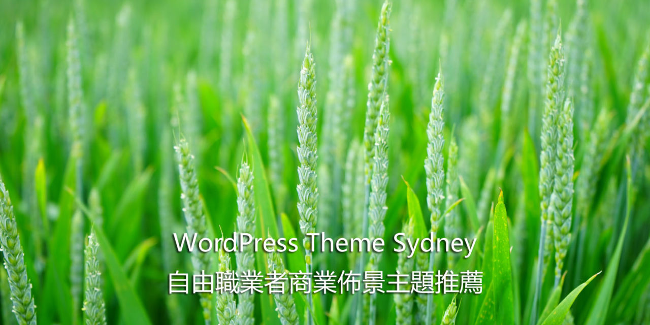WordPress Theme Sydney – 自由職業者商業佈景主題推薦
