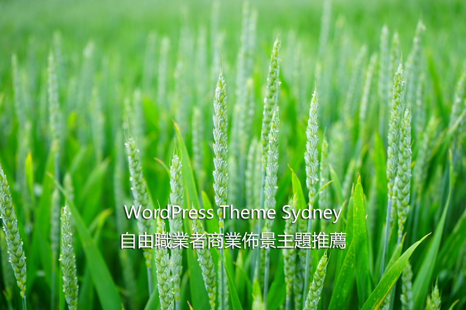 WordPress Theme Sydney WordPress Theme Sydney