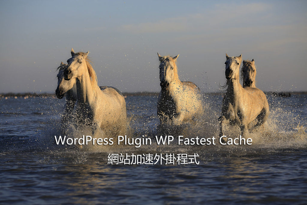 WordPress Plugin WP Fastest Cache