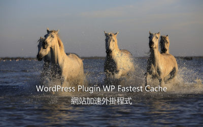 WordPress Plugin WP Fastest Cache – 網站加速外掛程式