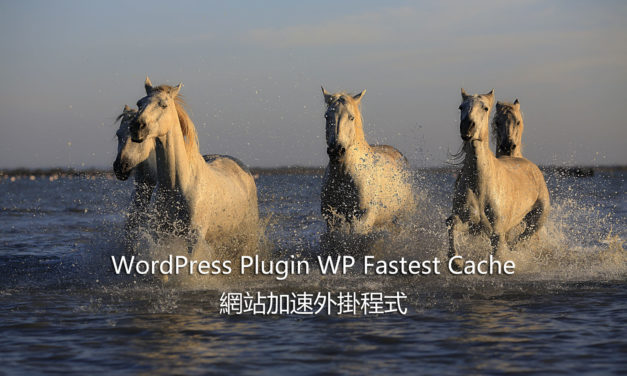 WordPress Plugin WP Fastest Cache – 網站加速外掛程式