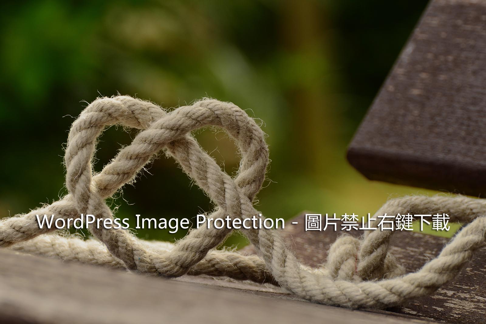 WordPress Image Protection – 圖片禁止右鍵下載
