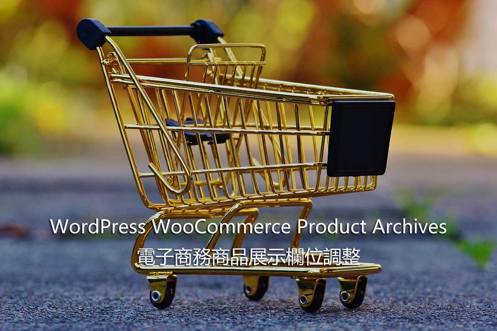 WordPress WooCommerce 電子商務商品展示欄位調整