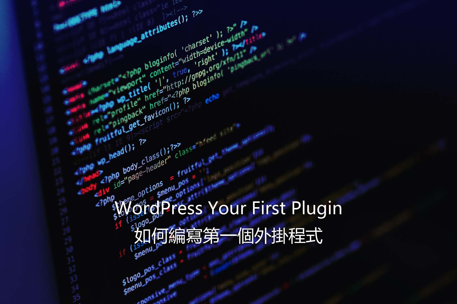 WordPress Your First Plugin – 如何編寫第一個外掛程式