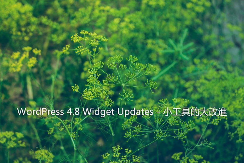 WordPress 4.8 Widget Updates
