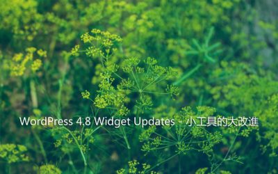 WordPress 4.8 Widget Updates – 小工具的大改進