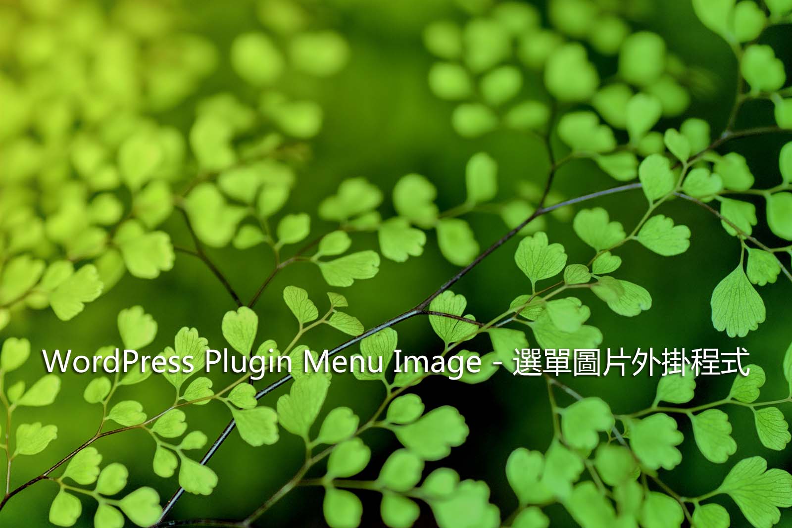 WordPress Plugin Menu Image – 選單圖片外掛程式