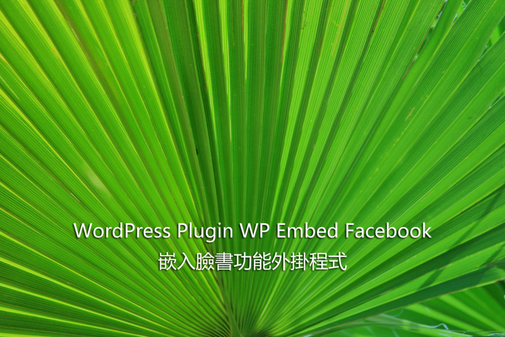 WordPress Plugin WP Embed Facebook