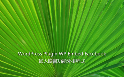 WordPress Plugin WP Embed Facebook – 嵌入臉書功能外掛程式