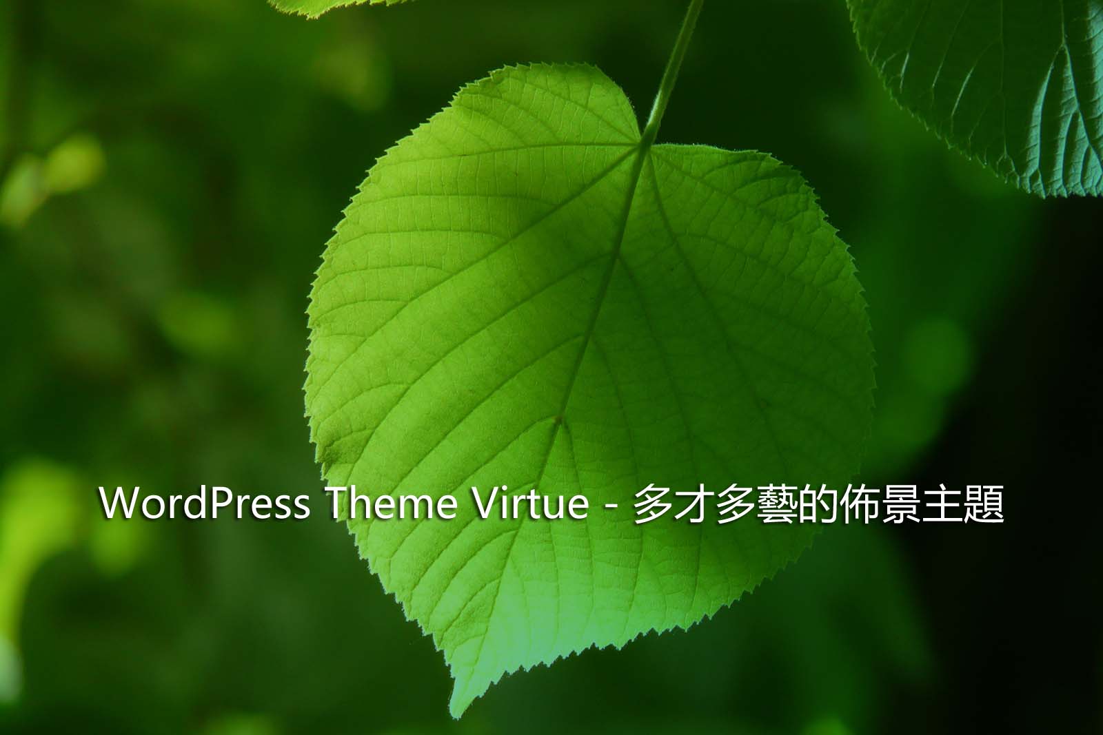 WordPress Theme Virtue – 多才多藝的佈景主題