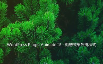 WordPress Plugin Animate It! – 動態效果外掛程式