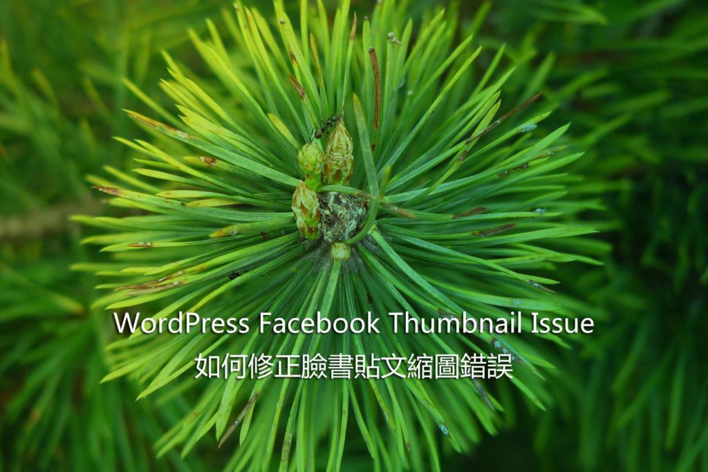 WordPress Facebook Thumbnail Issue