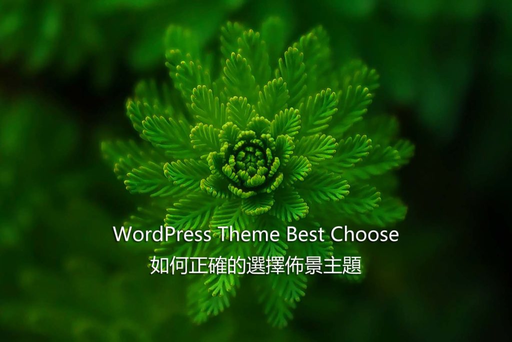 WordPress Theme Best Choose