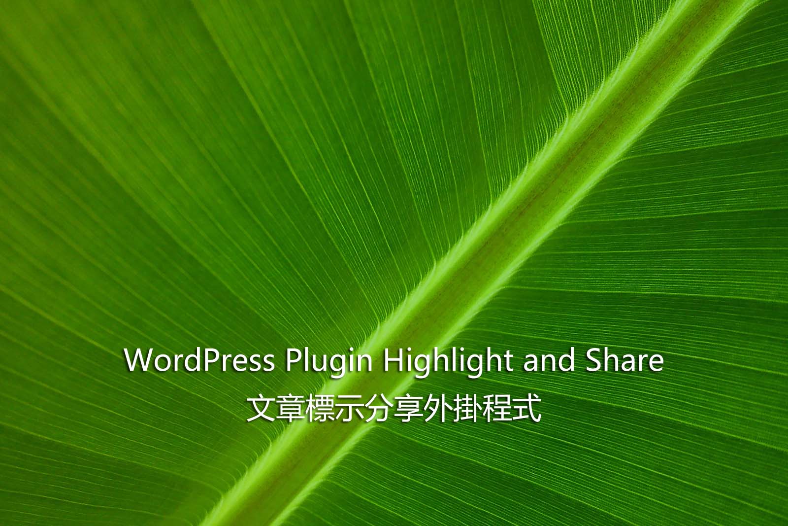 WordPress Plugin Highlight and Share – 文章標示分享外掛程式