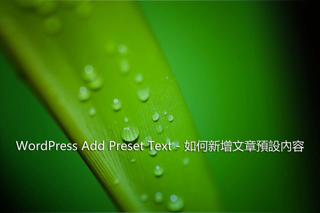 WordPress Add Preset Text